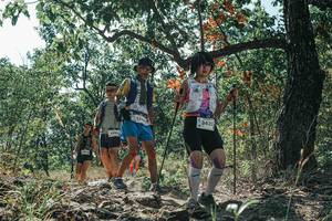 BIB: 
                            <button type="button" onclick="openModal(26115441)" class="btn btn-primary btn-sm float-right btn-popup" data-toggle="modal" data-target=".modal-high-quality">
                        <i class="fas fa-shopping-cart"></i> Add to Cart
                    </button>
                                            <button type="button" onclick="isThisMe(26115441, true)" class="btn btn-success btn-sm float-right btn-popup btn-isme hidden" data-toggle="tooltip" data-placement="bottom" title="นี่คือรูปของคุณใช่ไหม คลิกที่นี่เพื่อเอาเข้าอัลบั้ม">
                        <i class="fas fa-plus"></i> Add to album
                    </button>
                    <button type="button" onclick="isThisMe(26115441, false)" class="btn btn-warning btn-sm float-right btn-popup btn-isnotme hidden">
                        <i class="fas fa-ban"></i> Remove from album
                    </button>